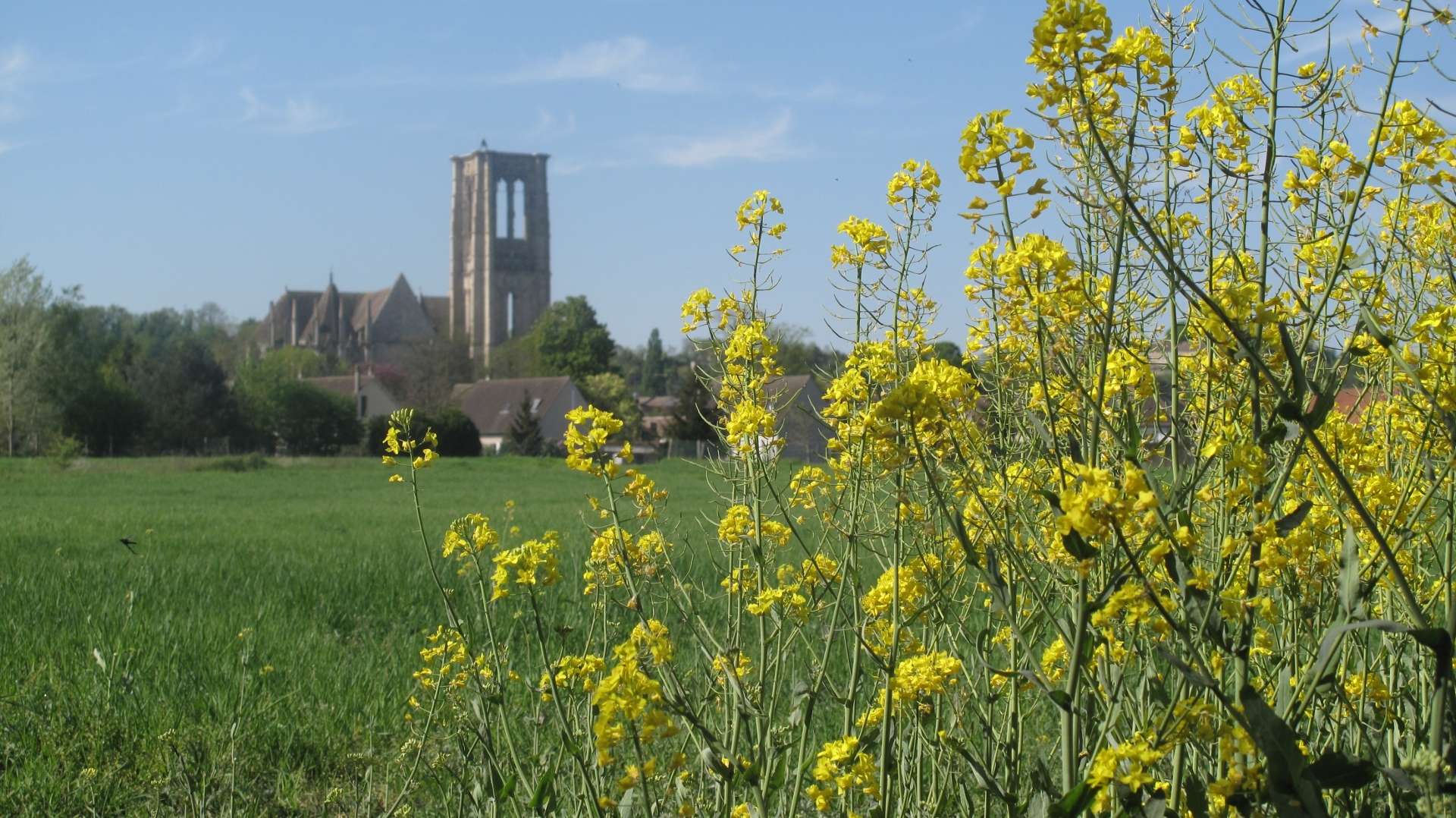 Larchant